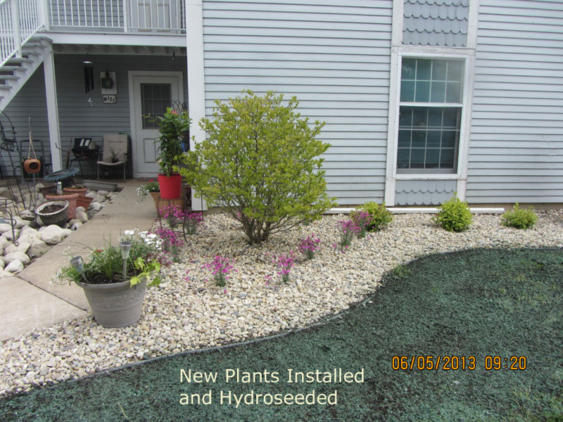 Landscape renovation including plant removal, new installation and 