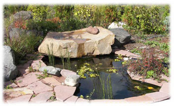 Rain Gardens, Racine, WI