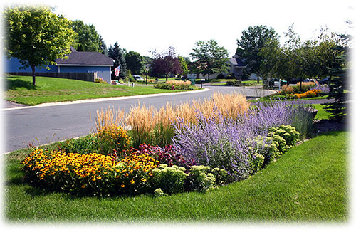 Rain Gardens, Racine, WI